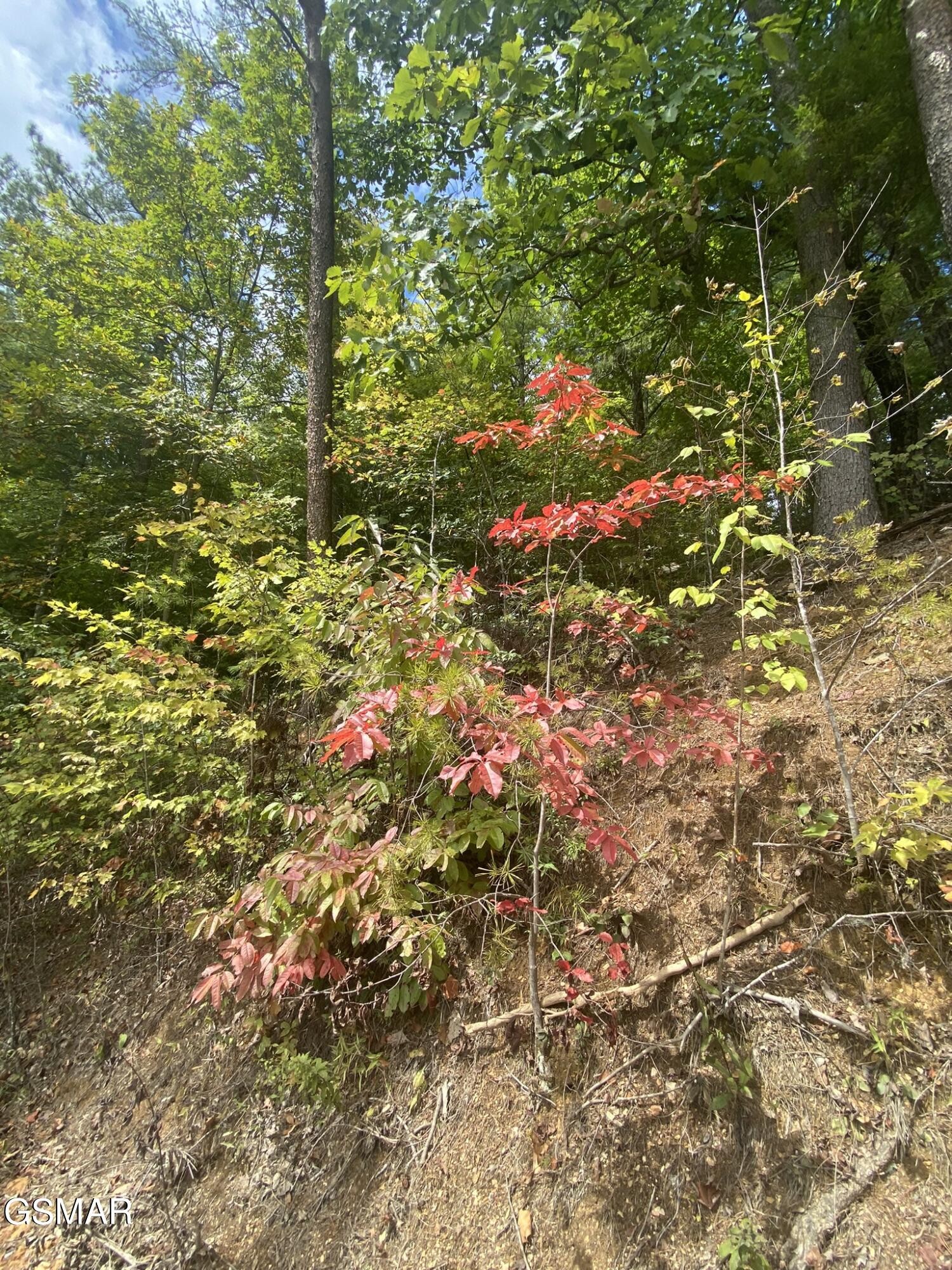 9 Sunset Road Sevierville, TN 37862 - Photo 17 of 22 Gallery Image 17