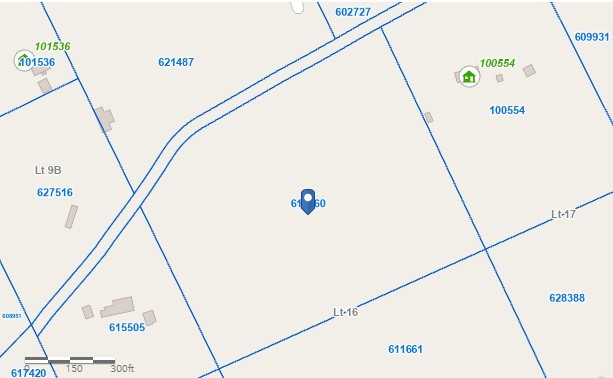 0 Co Road Oakwood, TX 75855 - Photo 4 of 10 Parcel 611660 in Leon County TX