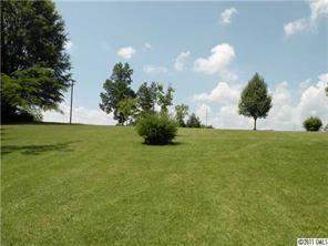 220 Abner Road Stony Point, NC 28678 - Photo 5 of 16