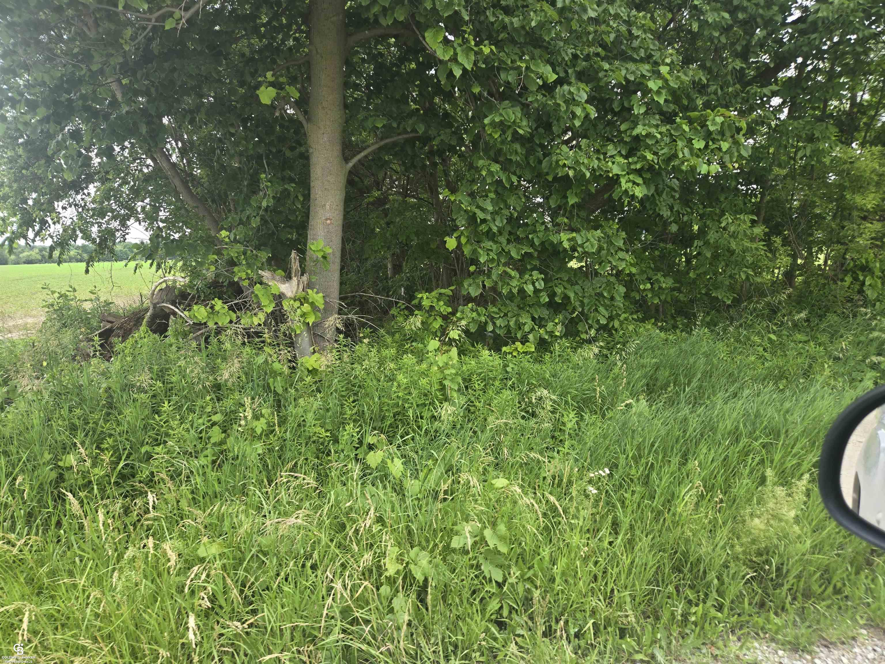 0 Imlay City Vl Road Avoca, MI 48006 - Photo 16 of 18