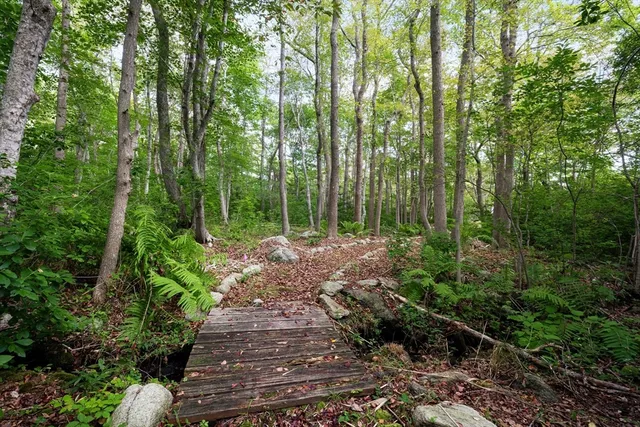 a view of a garden with plants