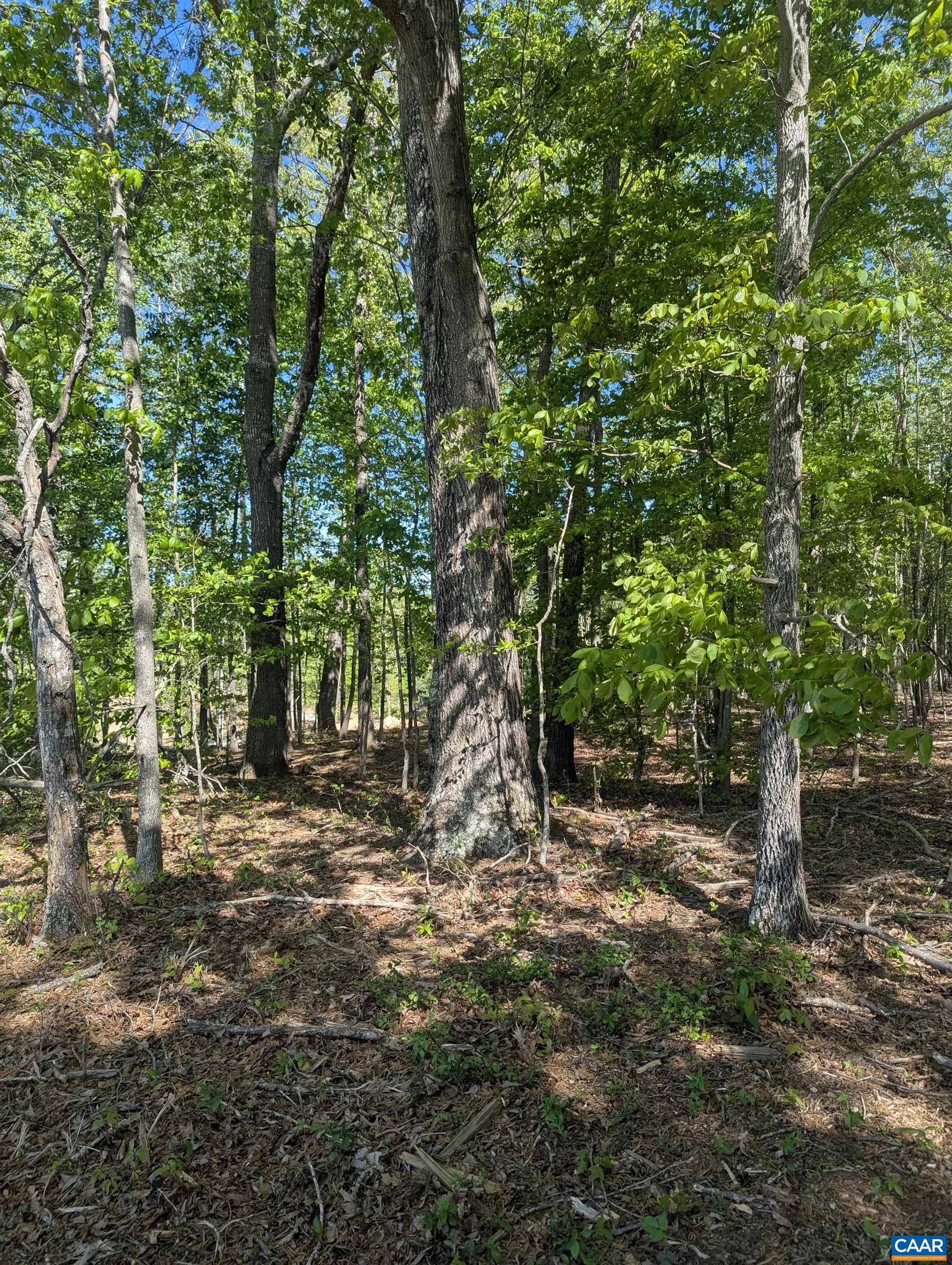 Lot 4 Horizon Drive Ruckersville, VA 22968 - Photo 13 of 29