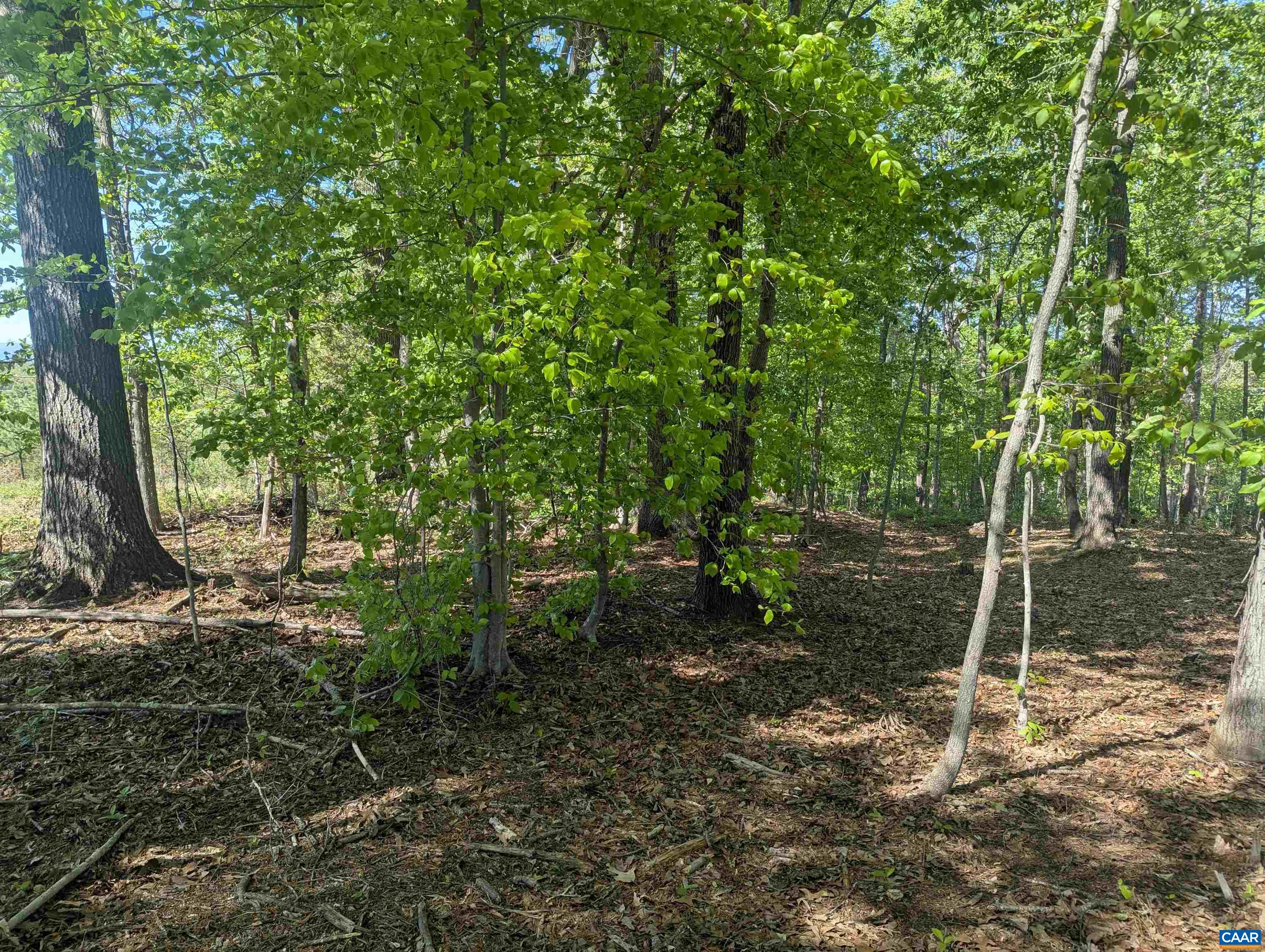 Lot 4 Horizon Drive Ruckersville, VA 22968 - Photo 15 of 29