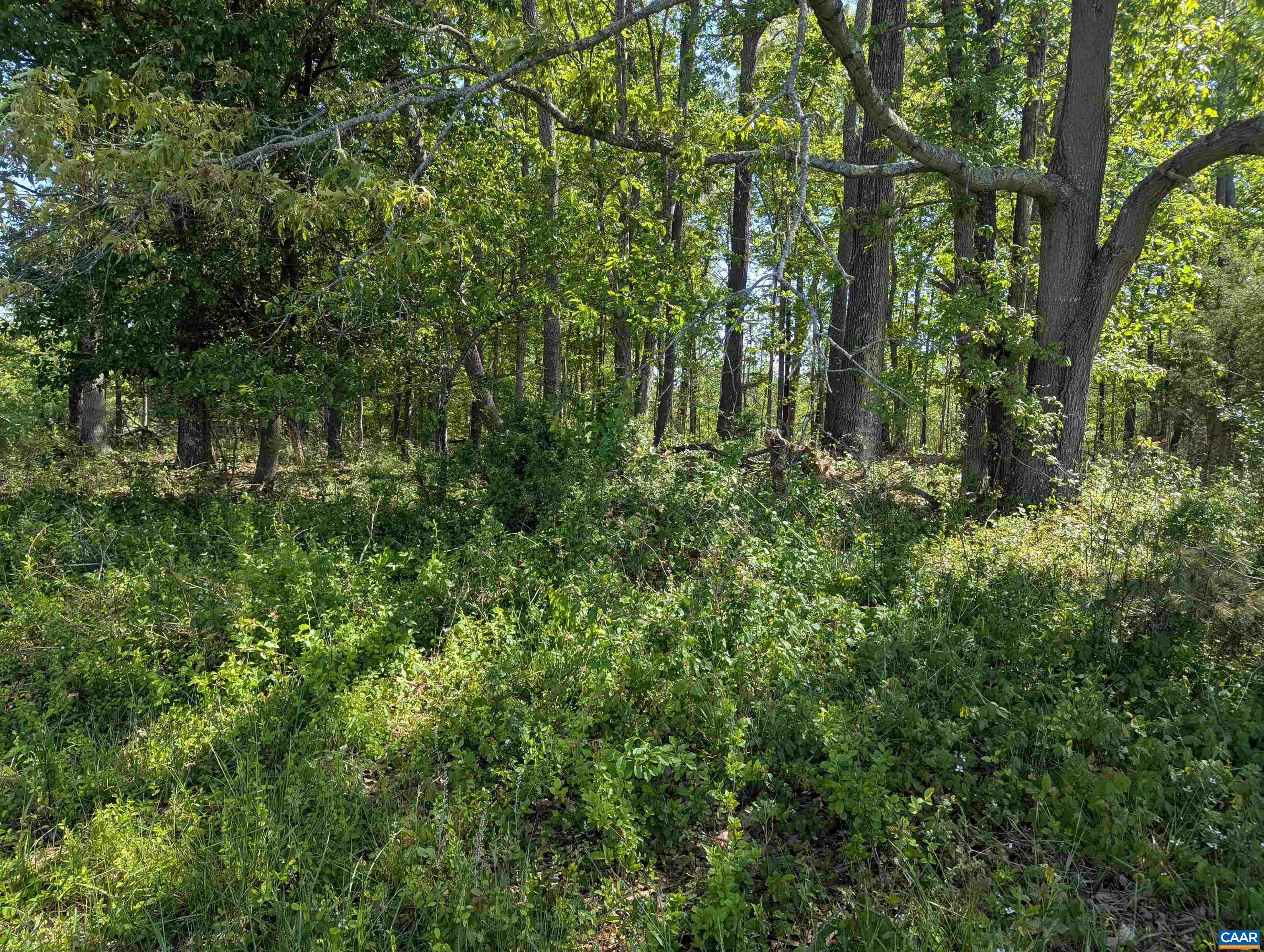 Lot 4 Horizon Drive Ruckersville, VA 22968 - Photo 26 of 29