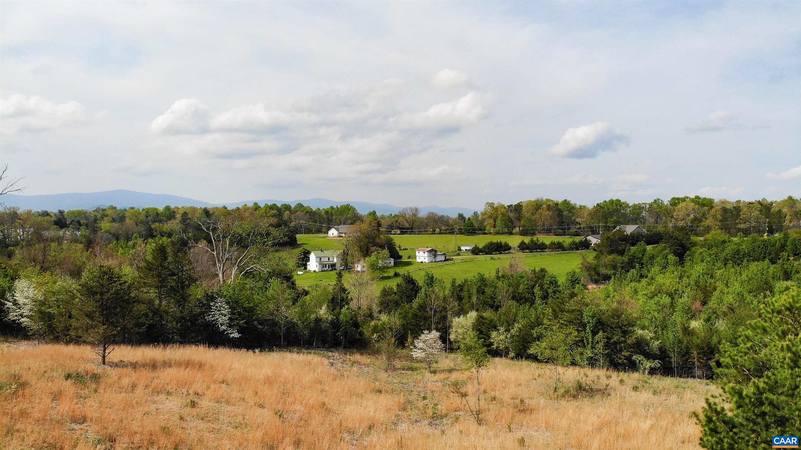 Lot 4 Horizon Drive Ruckersville, VA 22968 - Photo 7 of 29