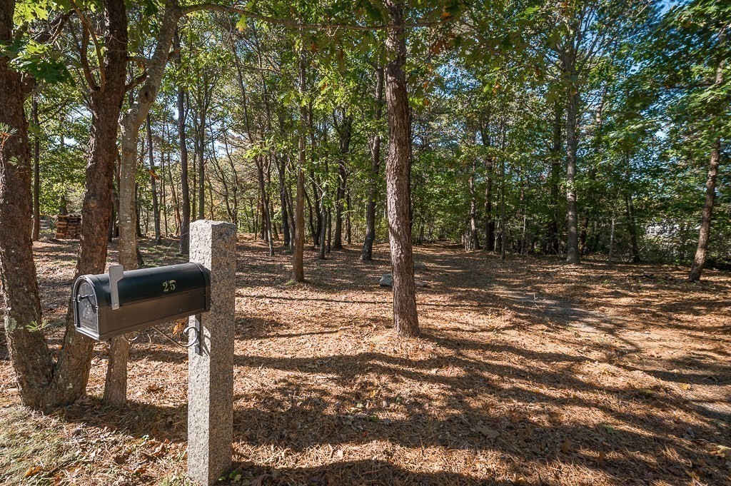 25 Leverett Street Gloucester, MA 01930 - Photo 3 of 41 a view of a tree in the middle of a yard