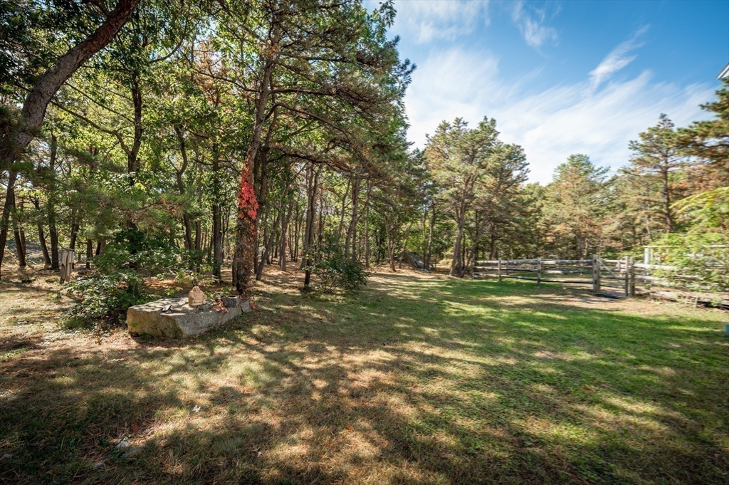 25 Leverett Street Gloucester, MA 01930 - Photo 31 of 41 a view of a tree in a yard