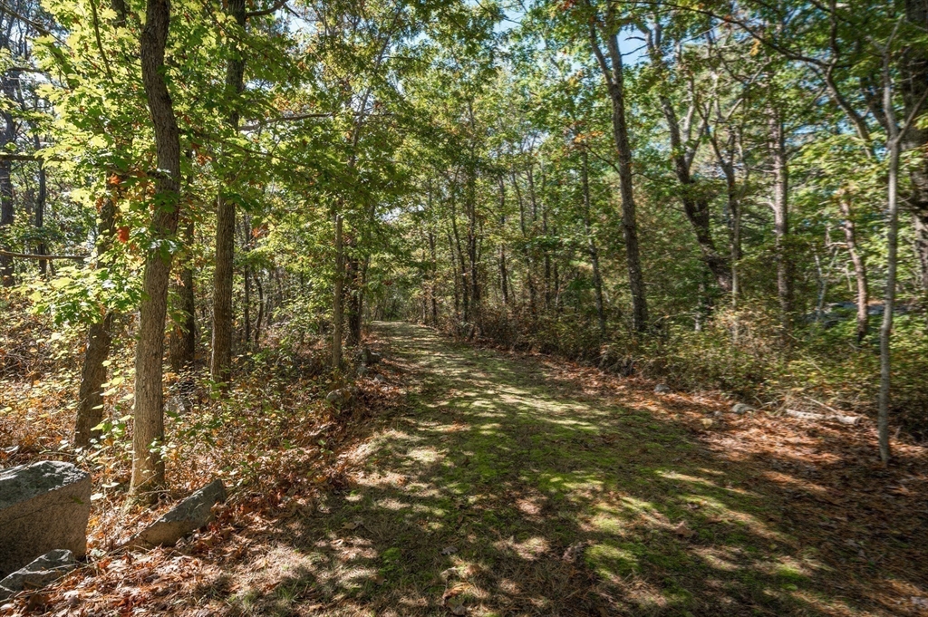 25 Leverett Street Gloucester, MA 01930 - Photo 36 of 41 a view of a tree with lots of trees