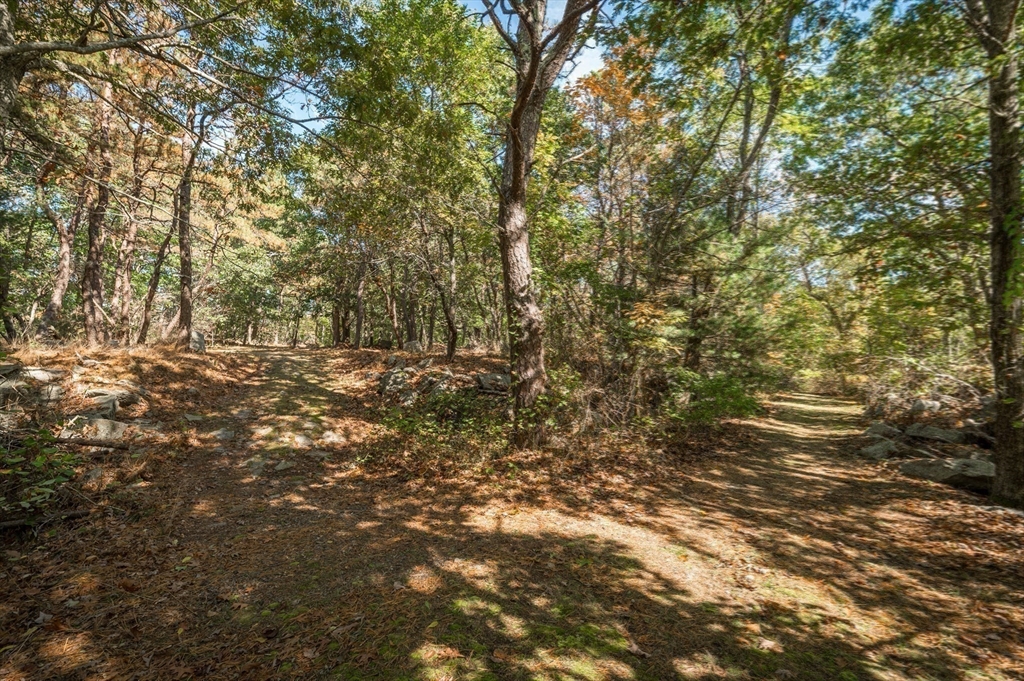 25 Leverett Street Gloucester, MA 01930 - Photo 37 of 41 a view of outdoor space and a yard