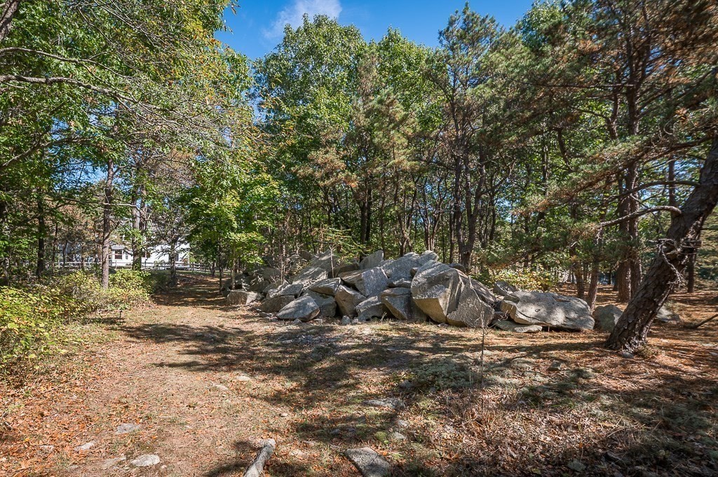 25 Leverett Street Gloucester, MA 01930 - Photo 39 of 41 a view of a forest with a tree