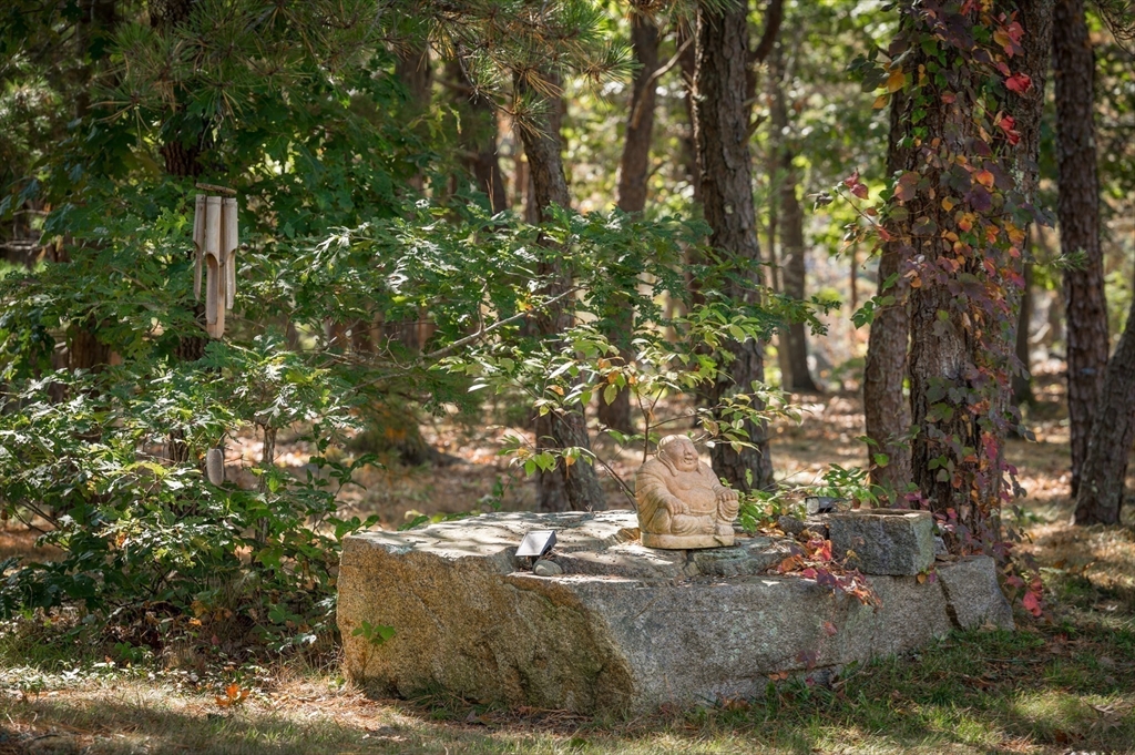 25 Leverett Street Gloucester, MA 01930 - Photo 40 of 41 a view of a tree in a yard