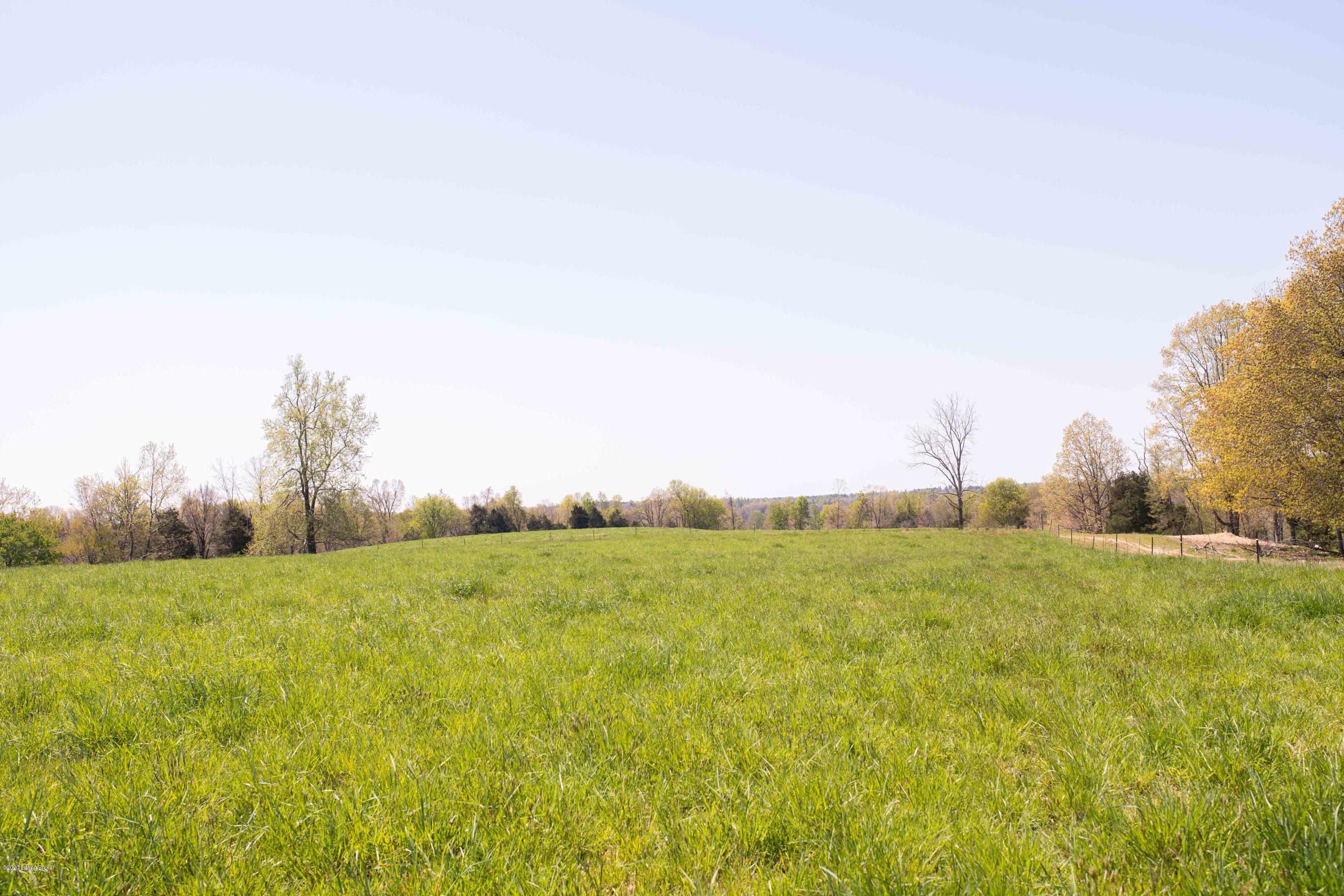 0 Peonia Road Clarkson, KY 42726 - Photo 4 of 18 DSC_9675