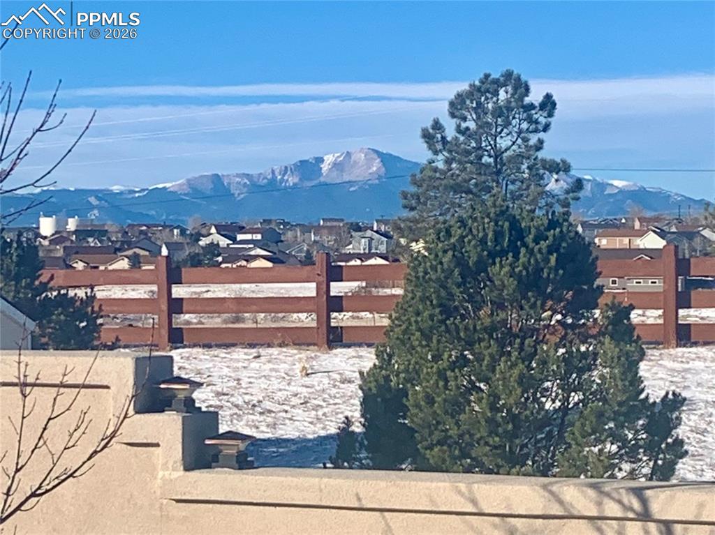 10530 Pictured Rocks Drive Peyton, CO 80831 - Photo 3 of 50 a view of a terrace with a tree