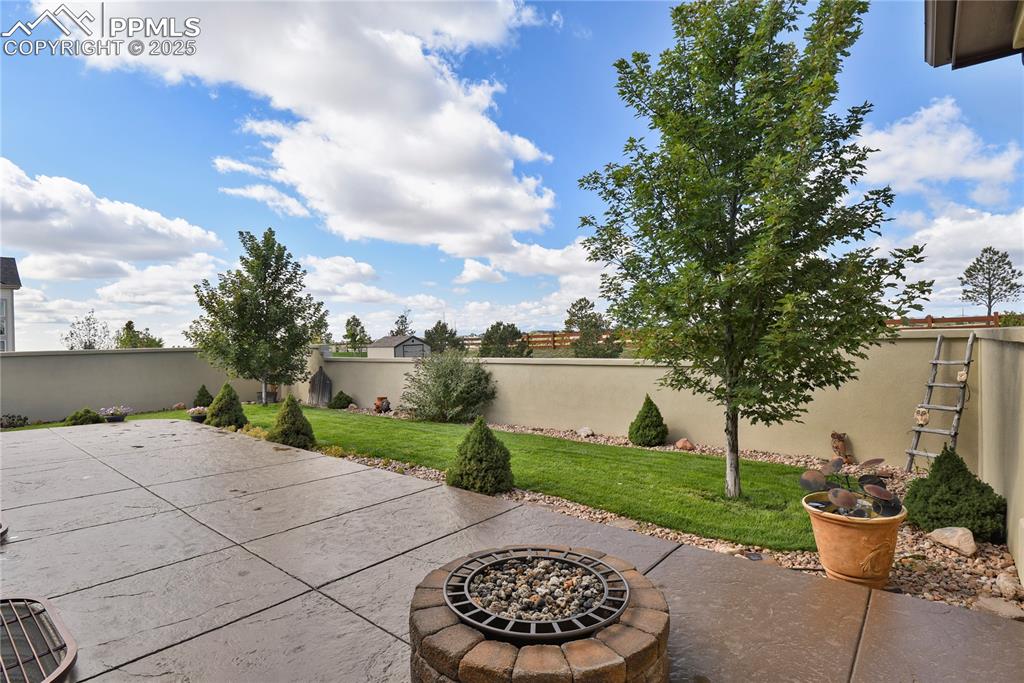 10530 Pictured Rocks Drive Peyton, CO 80831 - Photo 39 of 50 a view of a backyard with plants and a garden