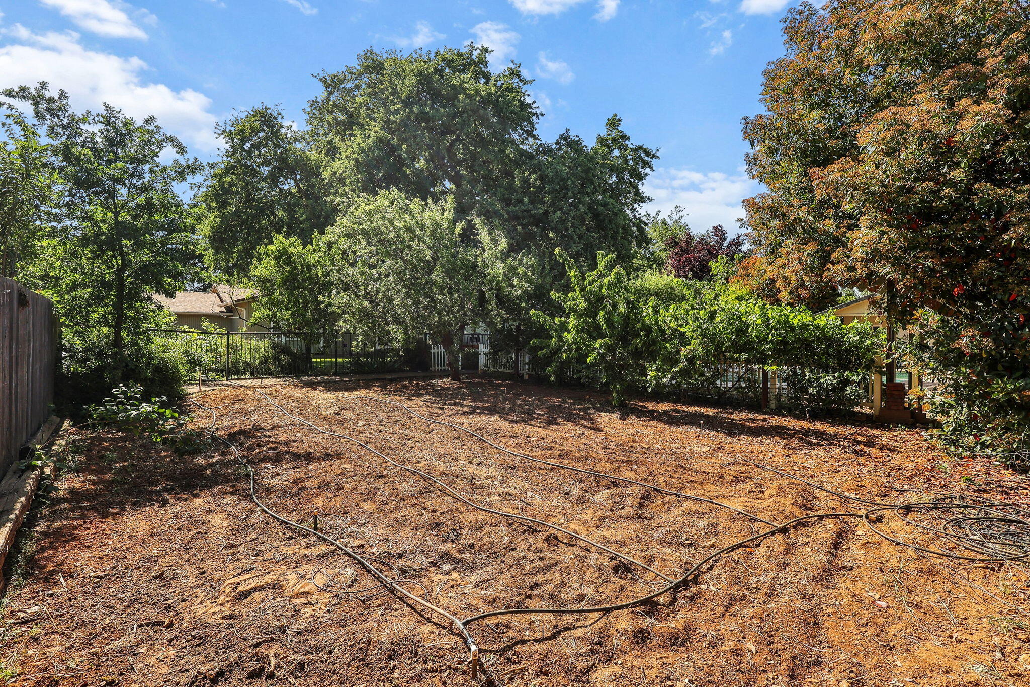7057 Riata Drive Redding, CA 96002 - Photo 29 of 98 Garden with Irrigation & Fruit Trees