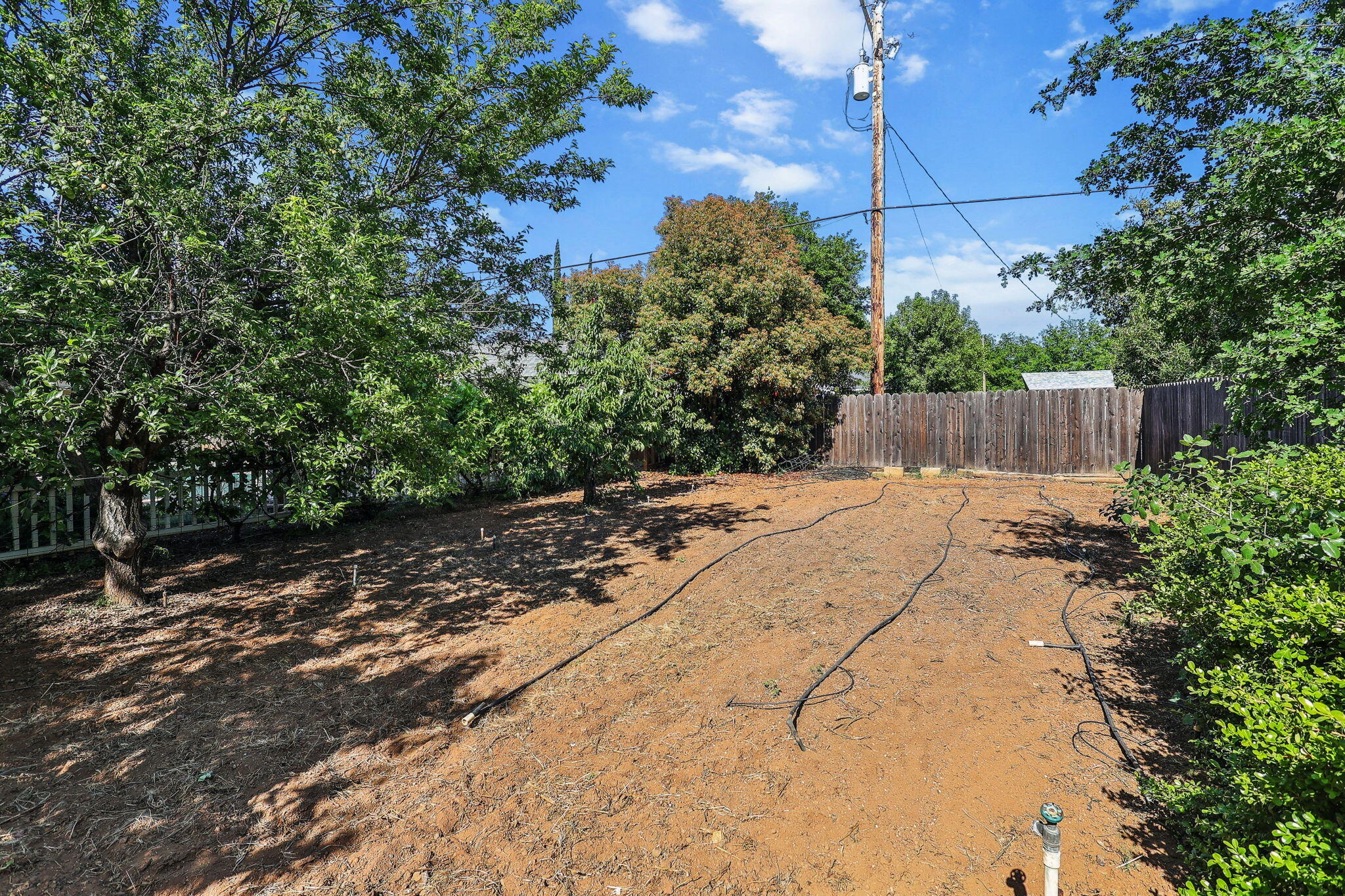 7057 Riata Drive Redding, CA 96002 - Photo 82 of 98 Garden with Irrigation & Fruit Trees