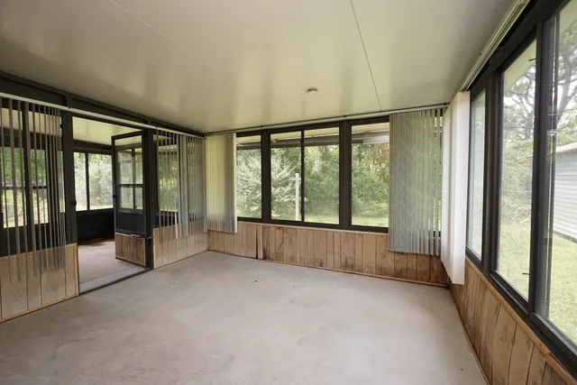 a view of a lush green forest