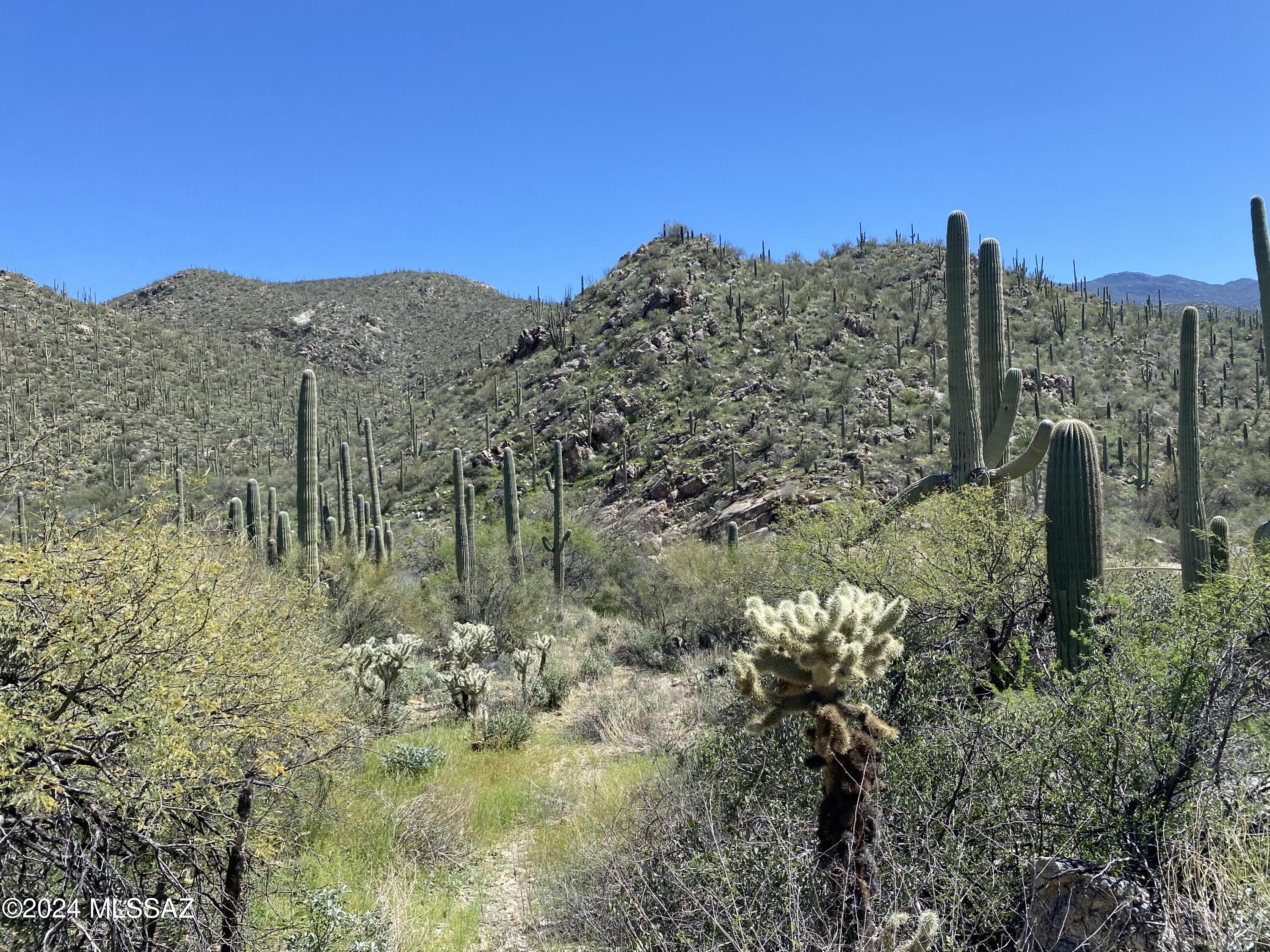 East Redington Road, Unit 13ACRES Tucson, AZ 85749 - Photo 13 of 48