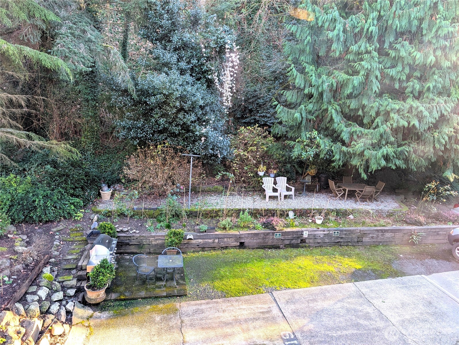 1156 Alki Avenue Southwest, Unit 201 Seattle, WA 98116 - Photo 12 of 40 a view of swimming pool with outdoor seating and plants