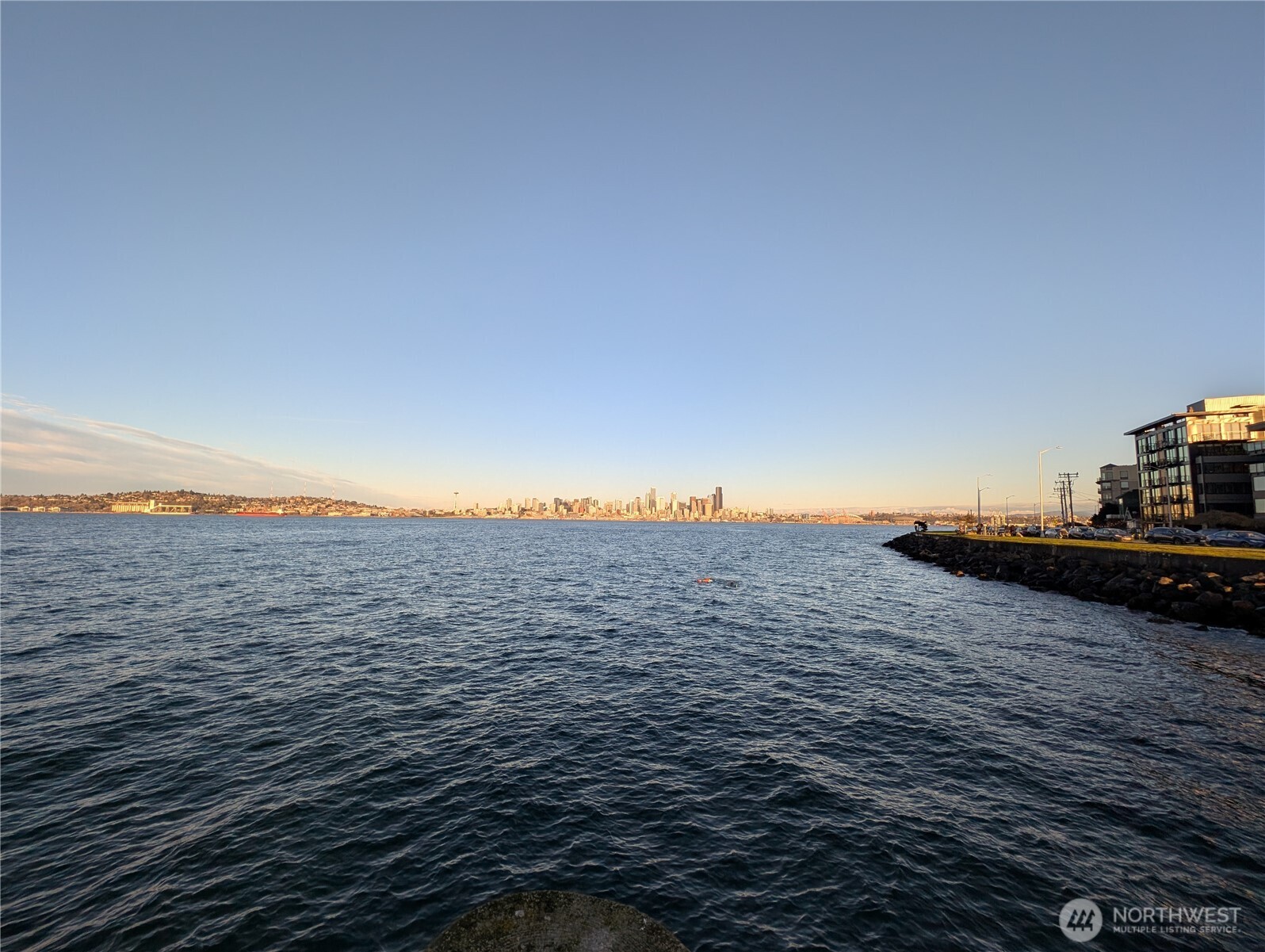 1156 Alki Avenue Southwest, Unit 201 Seattle, WA 98116 - Photo 31 of 40 a view of outdoor space and ocean