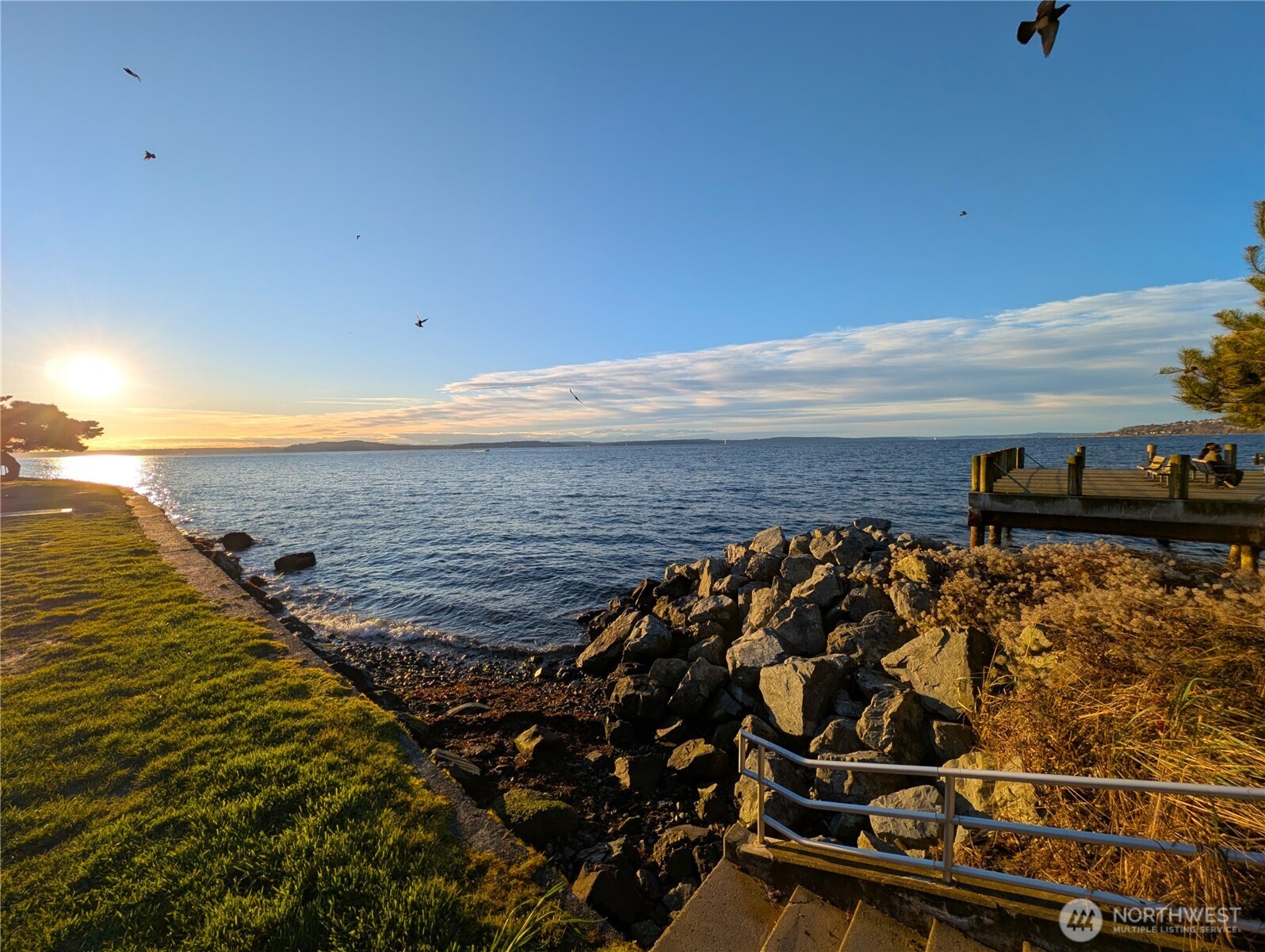 1156 Alki Avenue Southwest, Unit 201 Seattle, WA 98116 - Photo 33 of 40 a view of an ocean
