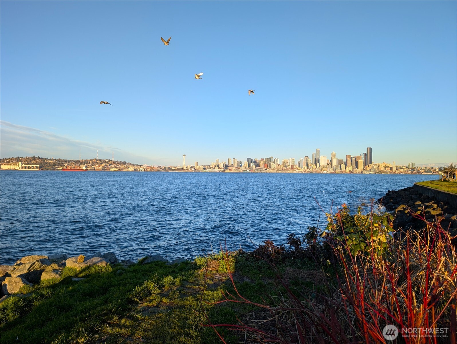 1156 Alki Avenue Southwest, Unit 201 Seattle, WA 98116 - Photo 34 of 40