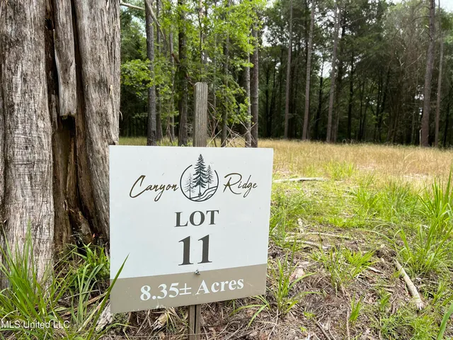 $250,000 | 205 Cougar Trail, Flora, MS 39071