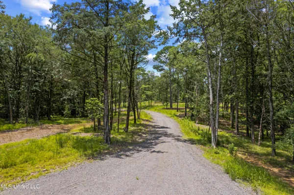 $250,000 | 205 Cougar Trail, Flora, MS 39071