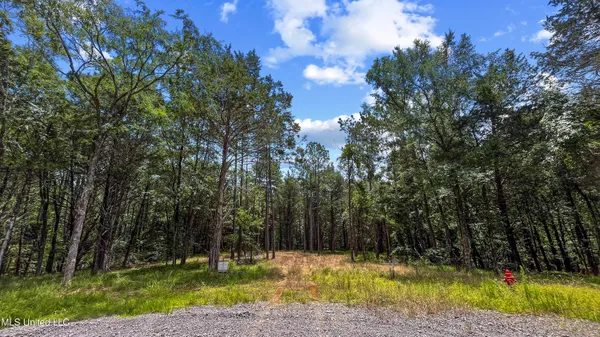 $250,000 | 205 Cougar Trail, Flora, MS 39071