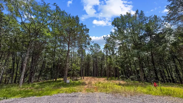 $250,000 | 205 Cougar Trail, Flora, MS 39071