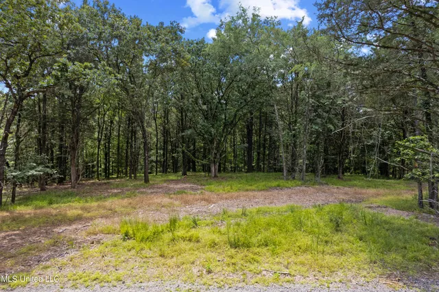 $250,000 | 205 Cougar Trail, Flora, MS 39071