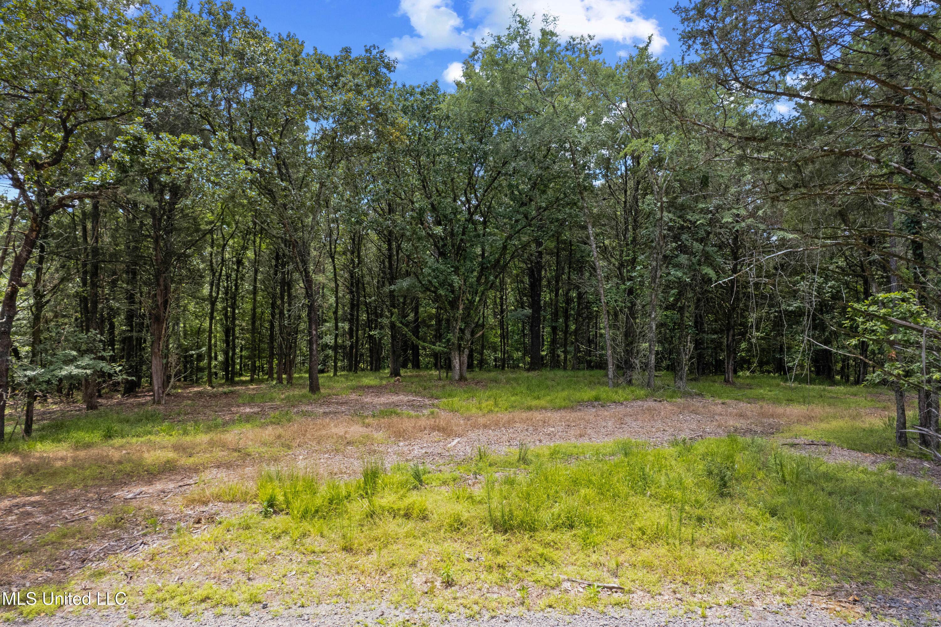 205 Cougar Trail Flora, MS 39071 - Photo 8 of 10 DJI_0985