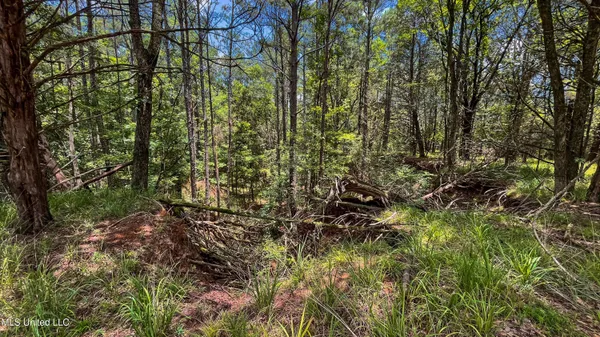 $250,000 | 205 Cougar Trail, Flora, MS 39071
