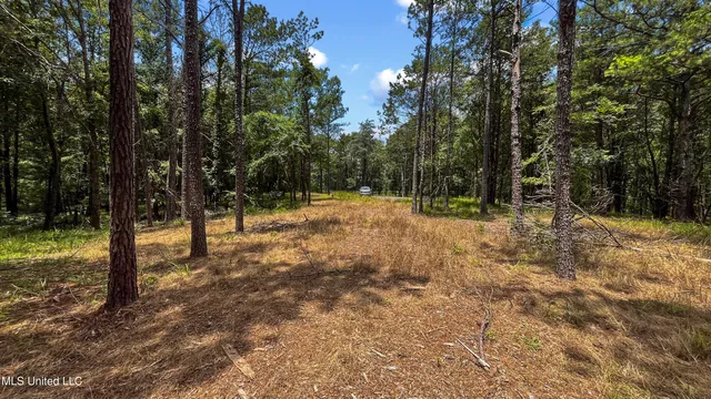 $250,000 | 205 Cougar Trail, Flora, MS 39071