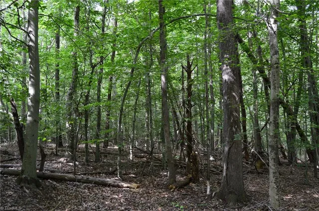 $175,000 | 183 East Aiken Road, Eden, NC 27288