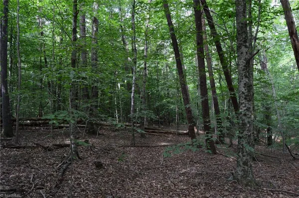 $175,000 | 183 East Aiken Road, Eden, NC 27288