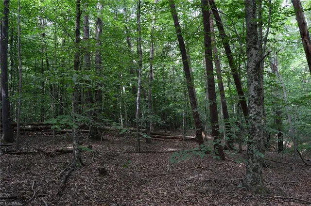 $175,000 | 183 East Aiken Road, Eden, NC 27288