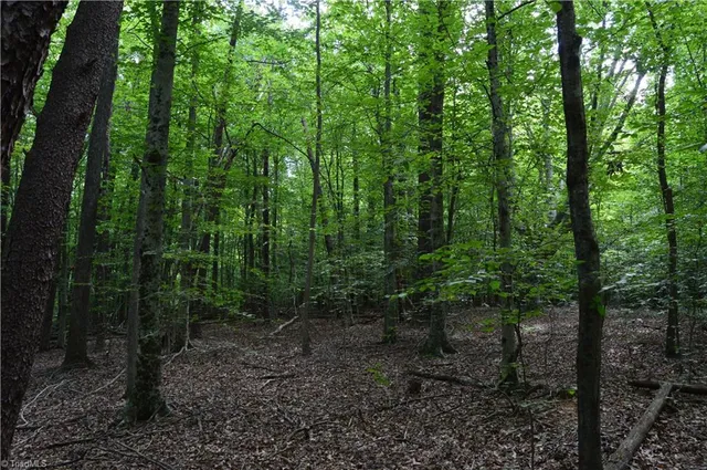 $175,000 | 183 East Aiken Road, Eden, NC 27288