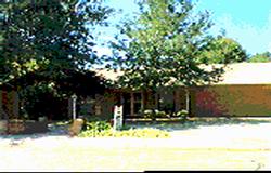 7107 Calumet Road Amarillo, TX 79106 - Photo 1 of 1 a view of backyard with green space