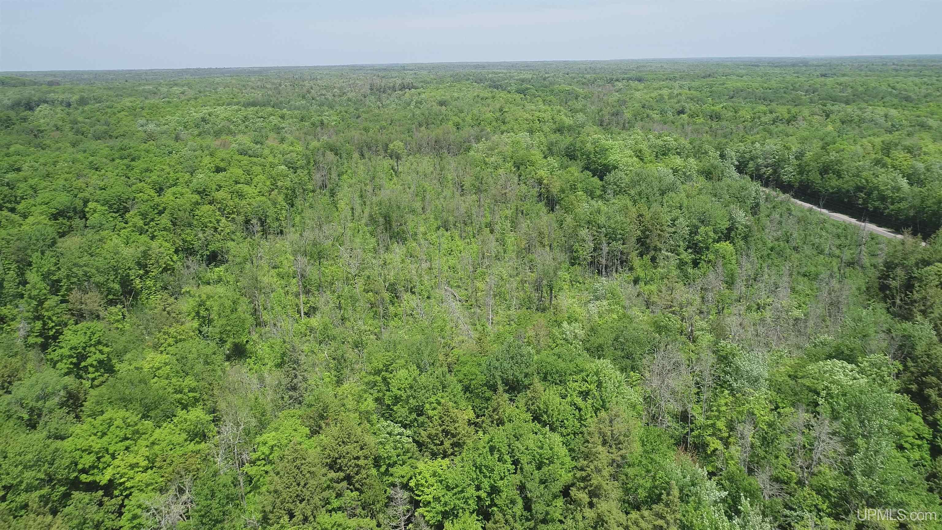 40-acres 40-acres Maple Grove Road Skandia, MI 49885 - Photo 4 of 19