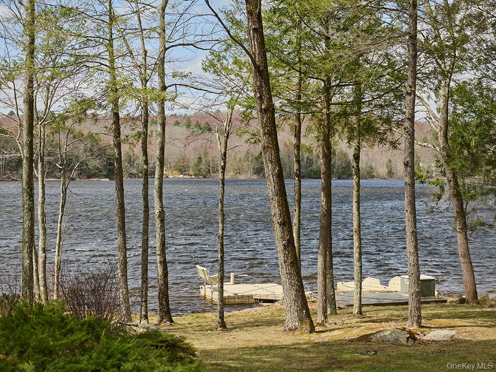 16 Deforest Road South Fallsburg, NY 12779 - Photo 27 of 28