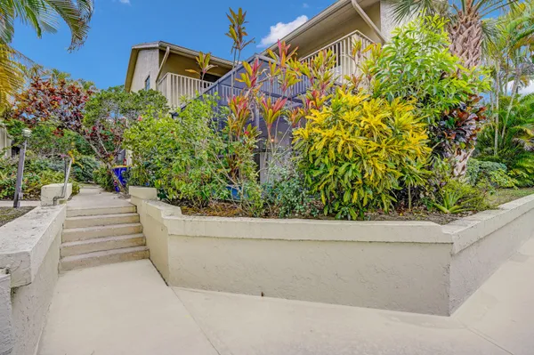 a view of a potted plants next to a road