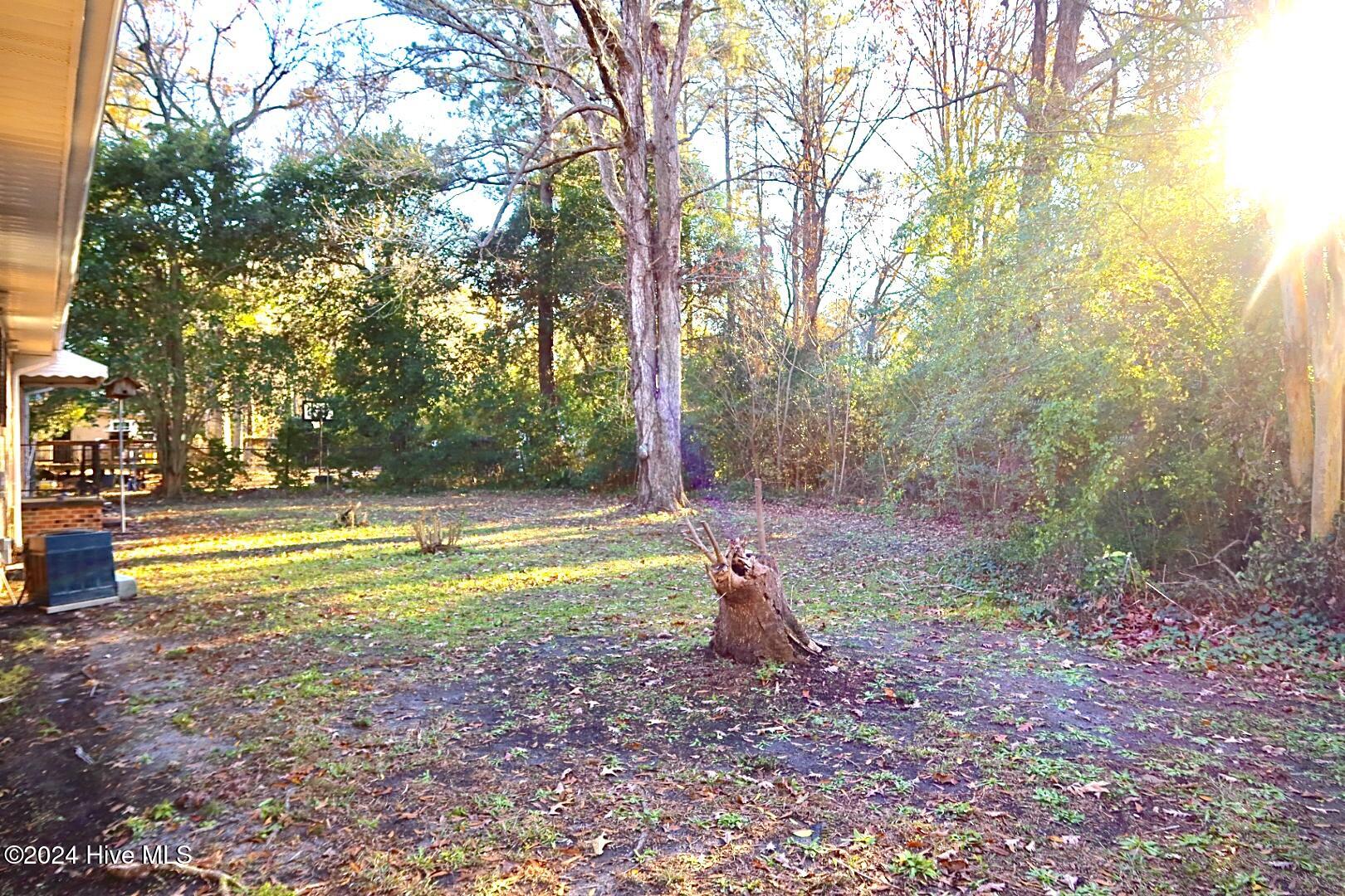 395 Washington Post Road New Bern, NC 28562 - Photo 17 of 17 Back 3