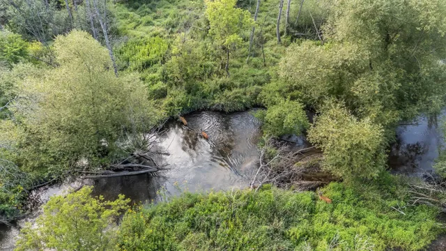 $88,000 | Pine St Pine River, Pine River, WI 54965