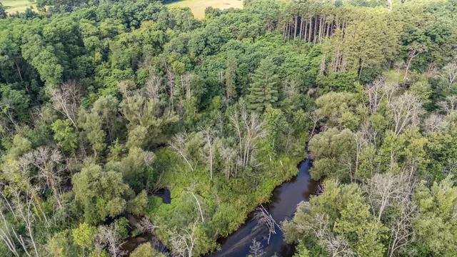 $88,000 | Pine St Pine River, Pine River, WI 54965