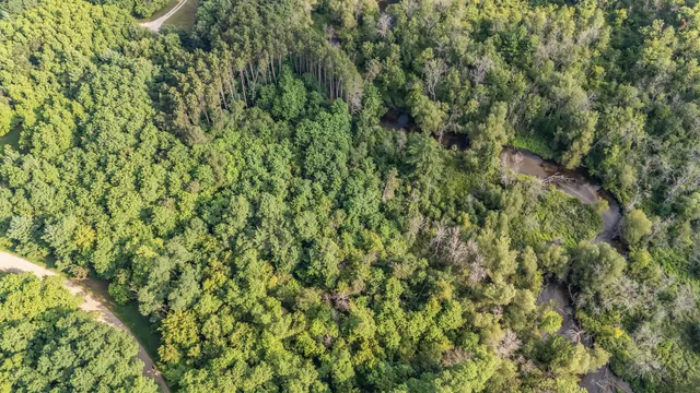 $88,000 | Pine St Pine River, Pine River, WI 54965