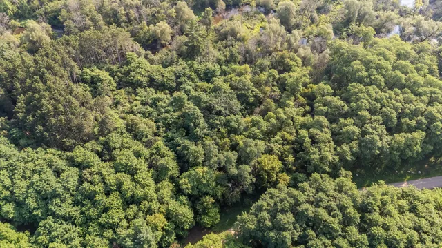 $88,000 | Pine St Pine River, Pine River, WI 54965