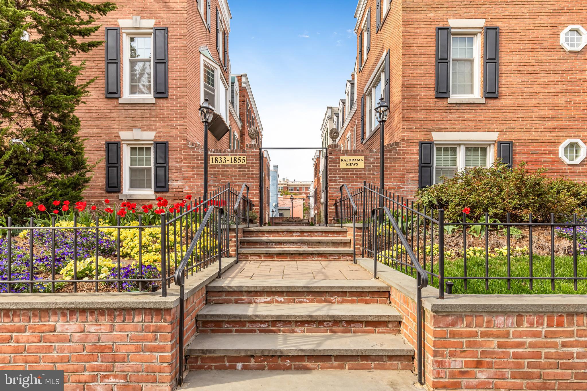 Kalorama Mews