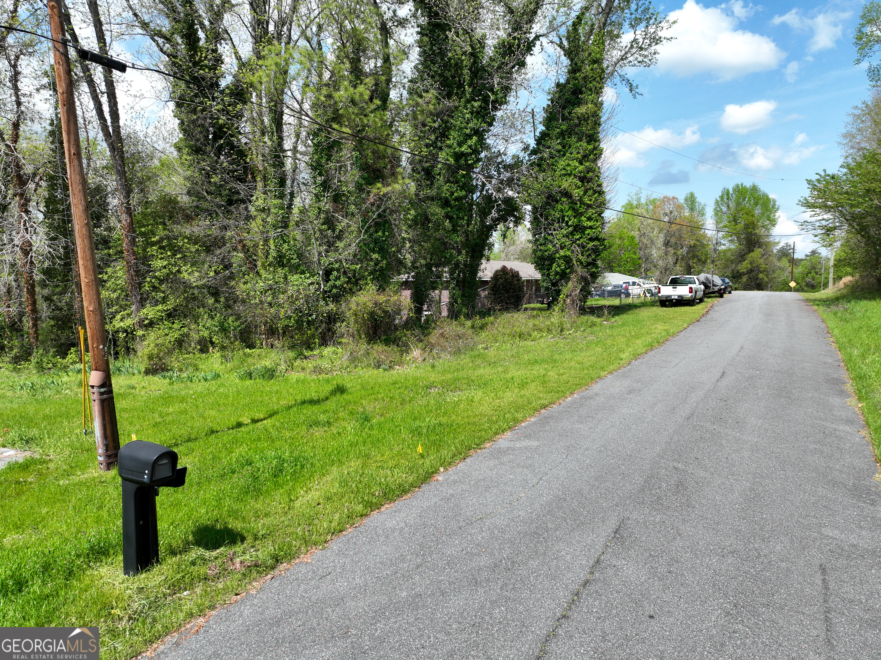 0 Knollwood Road Dry Branch, GA 31020 - Photo 4 of 7