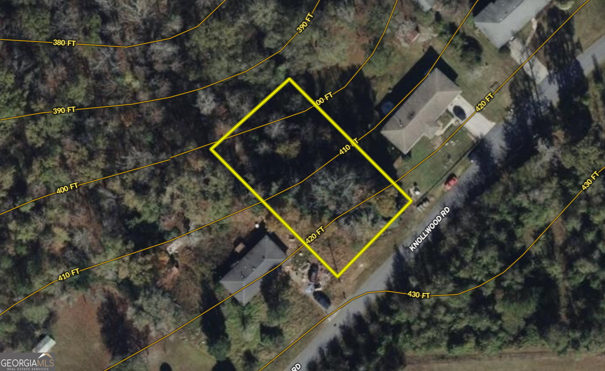 0 Knollwood Road Dry Branch, GA 31020 - Photo 6 of 7